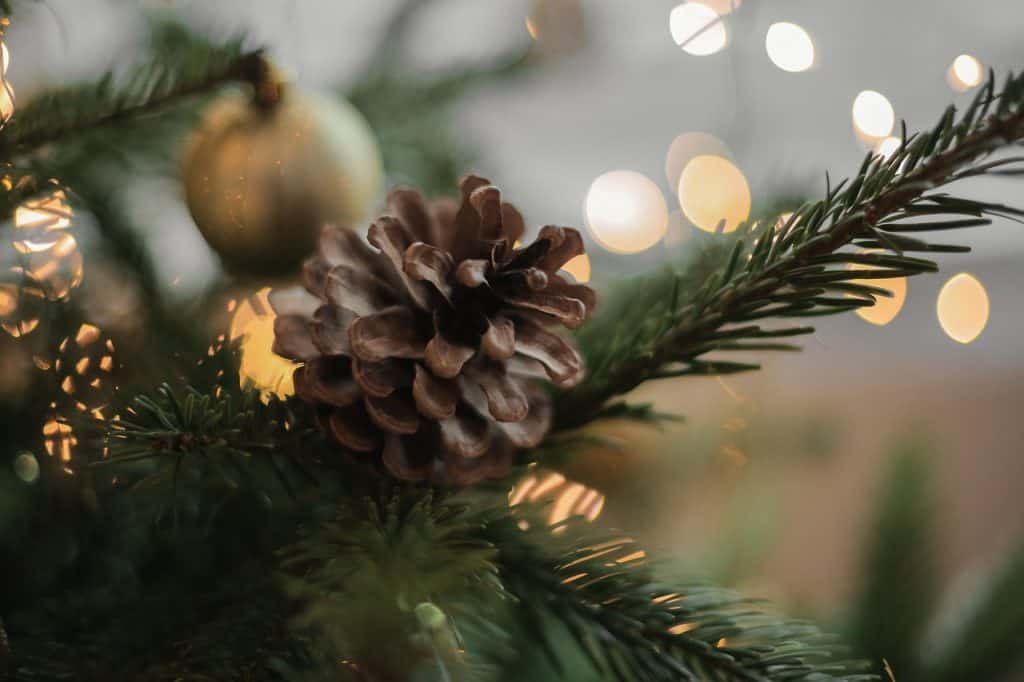 weihnachtsbaum online kaufen shop vergleich